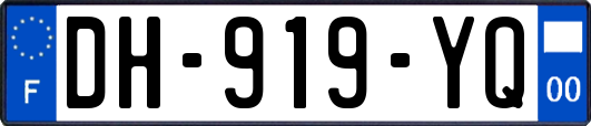 DH-919-YQ