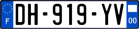 DH-919-YV