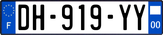 DH-919-YY