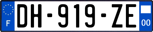 DH-919-ZE