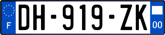 DH-919-ZK