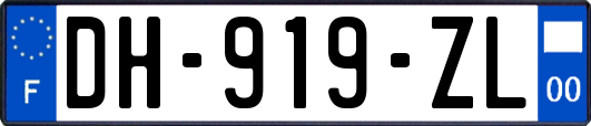 DH-919-ZL