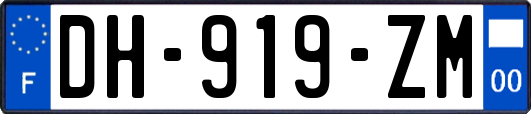 DH-919-ZM