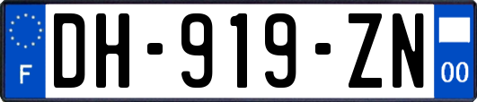 DH-919-ZN