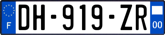 DH-919-ZR