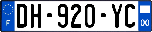 DH-920-YC