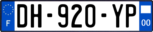 DH-920-YP