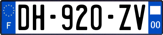 DH-920-ZV