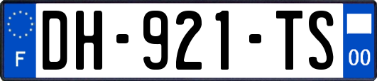 DH-921-TS