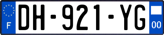 DH-921-YG