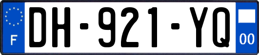 DH-921-YQ