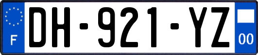 DH-921-YZ