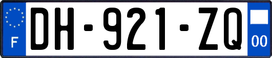 DH-921-ZQ