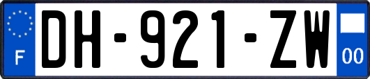 DH-921-ZW