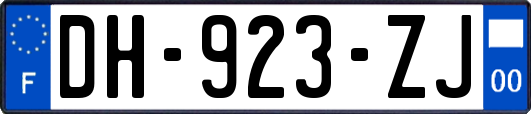 DH-923-ZJ