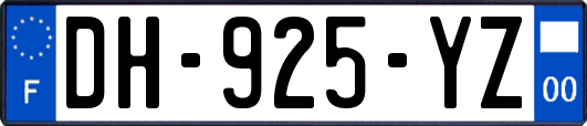 DH-925-YZ