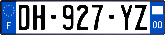 DH-927-YZ