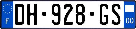 DH-928-GS