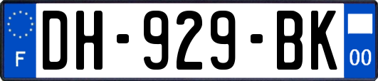 DH-929-BK