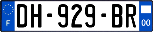 DH-929-BR