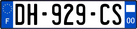 DH-929-CS