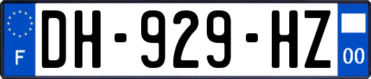 DH-929-HZ