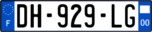 DH-929-LG