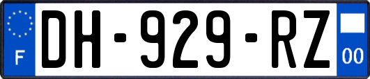 DH-929-RZ