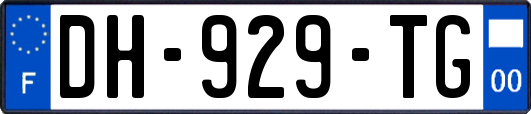 DH-929-TG