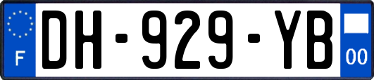 DH-929-YB