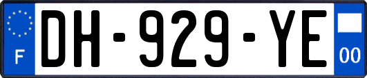 DH-929-YE