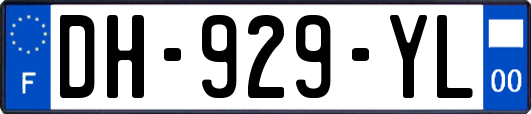 DH-929-YL