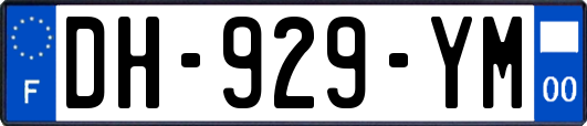 DH-929-YM