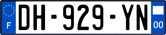 DH-929-YN