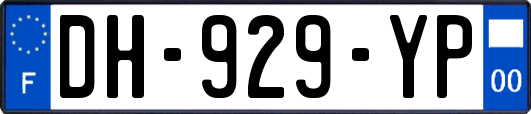 DH-929-YP