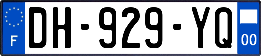 DH-929-YQ