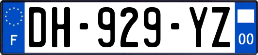 DH-929-YZ