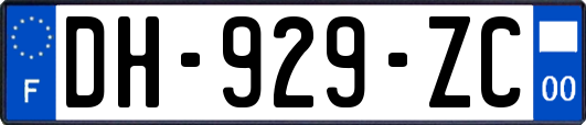 DH-929-ZC