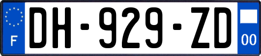 DH-929-ZD
