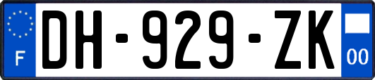 DH-929-ZK