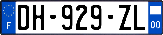 DH-929-ZL