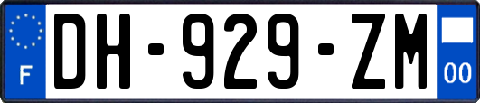 DH-929-ZM