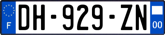 DH-929-ZN