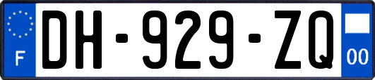 DH-929-ZQ