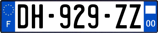 DH-929-ZZ