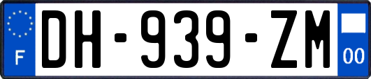 DH-939-ZM