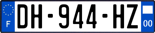 DH-944-HZ