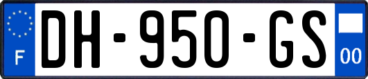 DH-950-GS