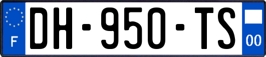 DH-950-TS