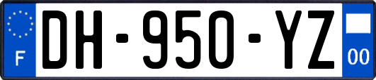 DH-950-YZ